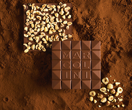 Chocolates Pralines Chocolates