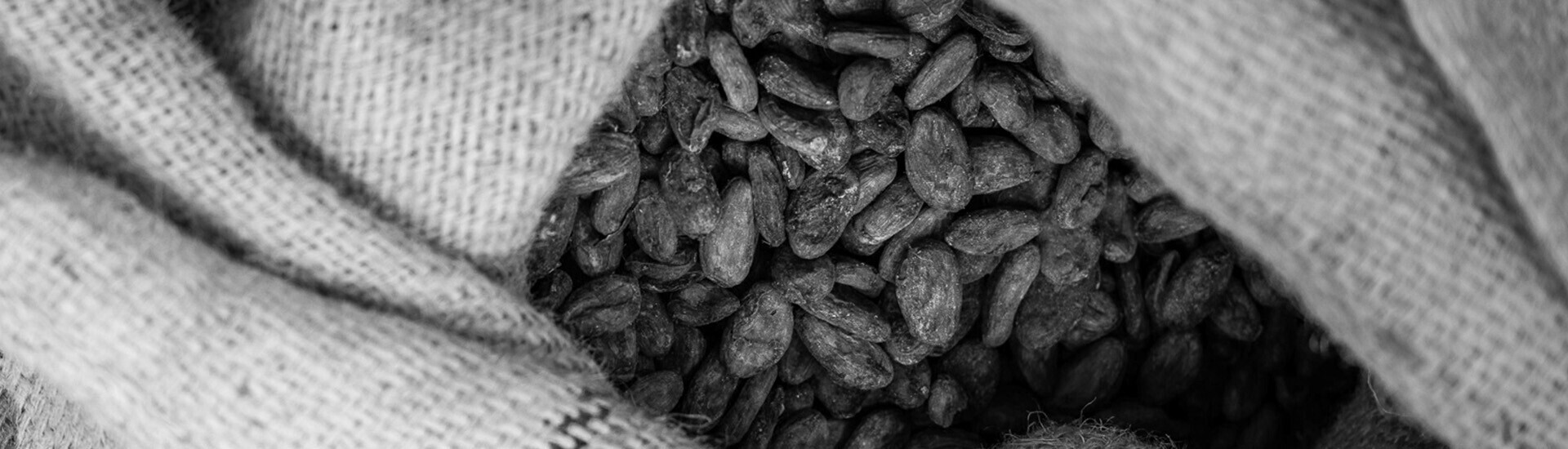 The chocolate-making process