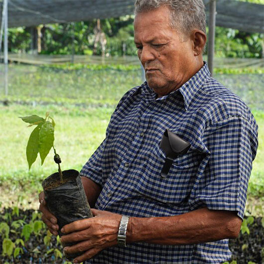pierre-marcolini-2019-planteurs-plantations-cuba