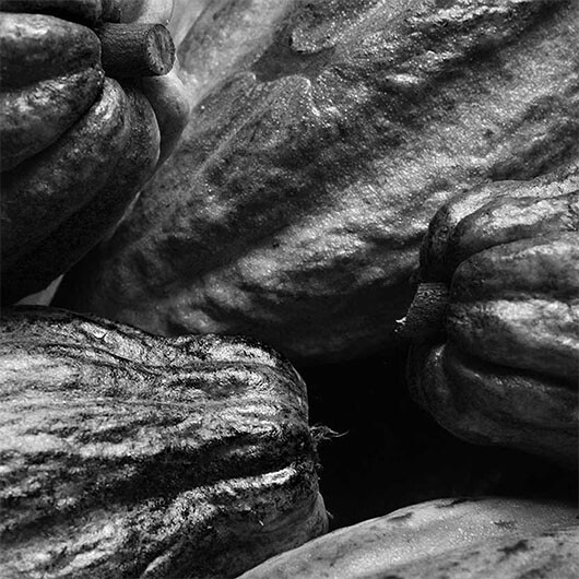 pierre marcolini savoir faire case 1