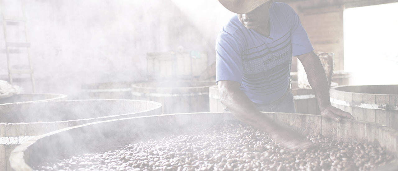 pierre marcolini savoir faire banner