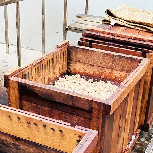 pierre marcolini savoir faire fermentation