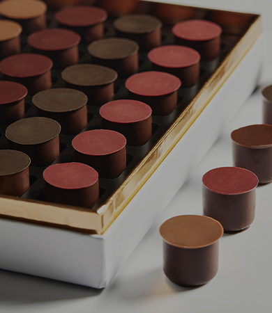 conservation chocolat 390-450